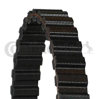 Timing Belt