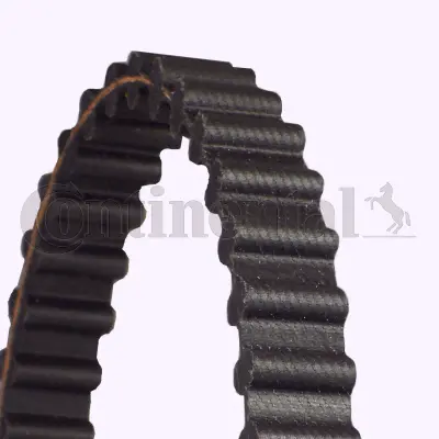 Timing Belt