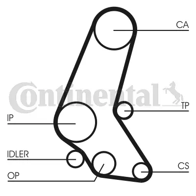 Timing Belt Kit