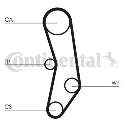 Timing Belt