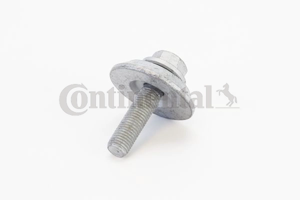 Screw (V49071)