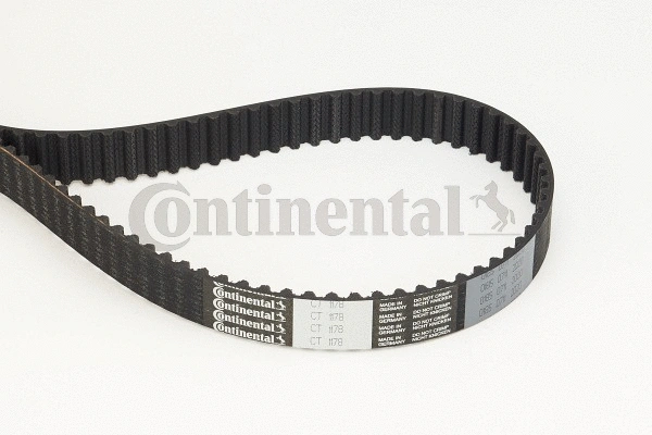 Timing Belt