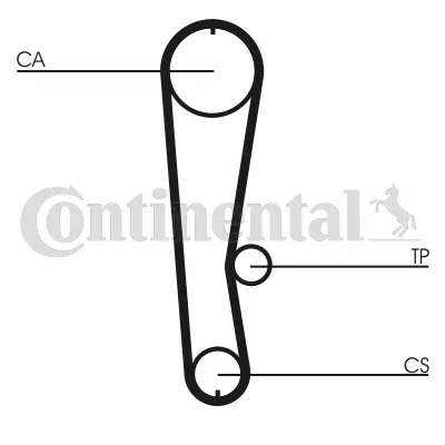 Timing Belt