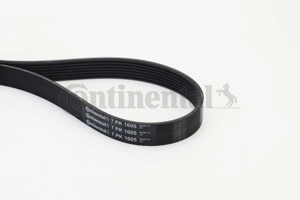 V-Ribbed Belt (7PK1605)