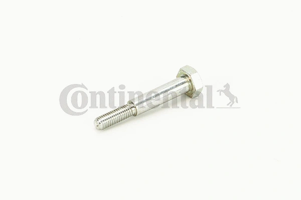Screw (V41102)