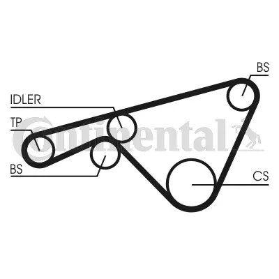 Timing Belt