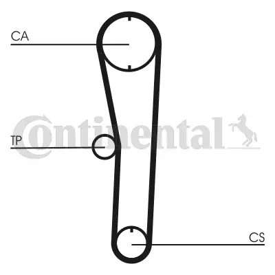 Timing Belt