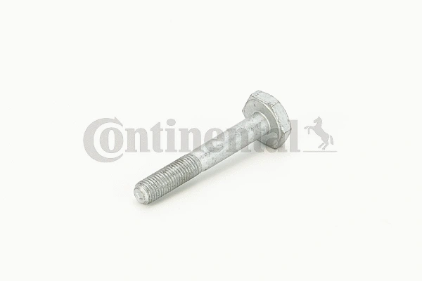 Screw (V41138)