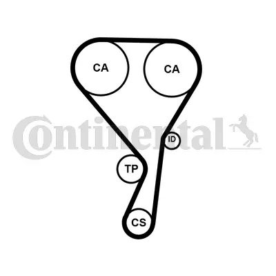 Timing Belt