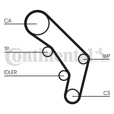 Timing Belt