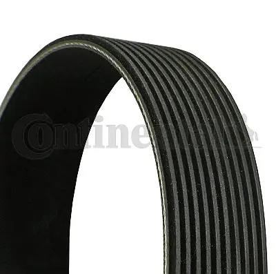 V-Ribbed Belt (10PK1136)
