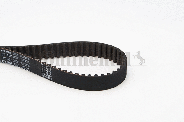 Timing Belt