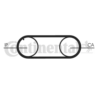 Timing Belt