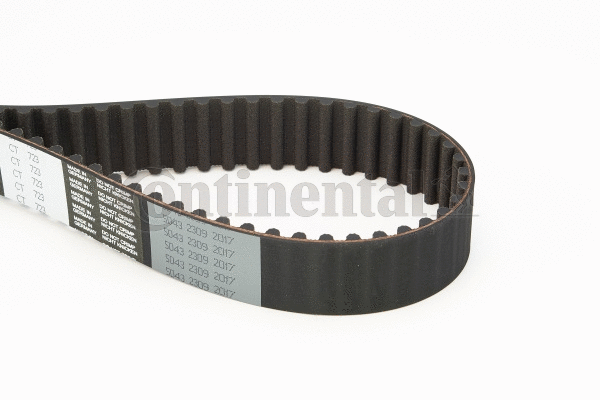 Timing Belt