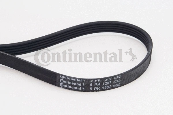 V-Ribbed Belt (5PK1207)