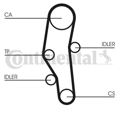 Timing Belt Kit