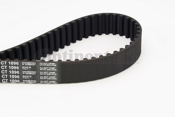 Timing Belt