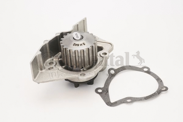 Water Pump, engine cooling (WP6121)