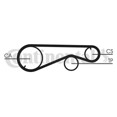 Timing Belt