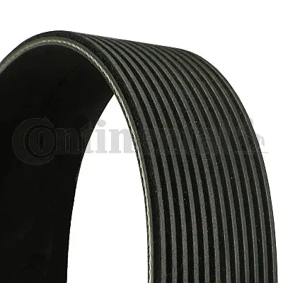 V-Ribbed Belt (12PK1890)