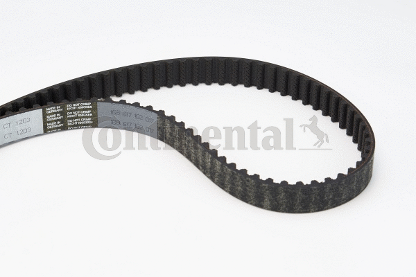 Timing Belt