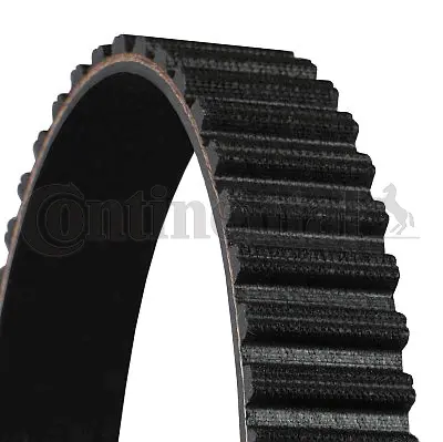 Timing Belt