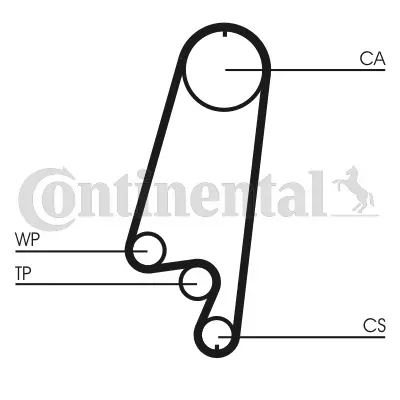 Timing Belt