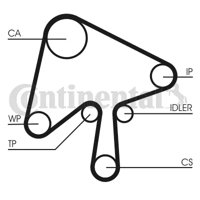 Timing Belt