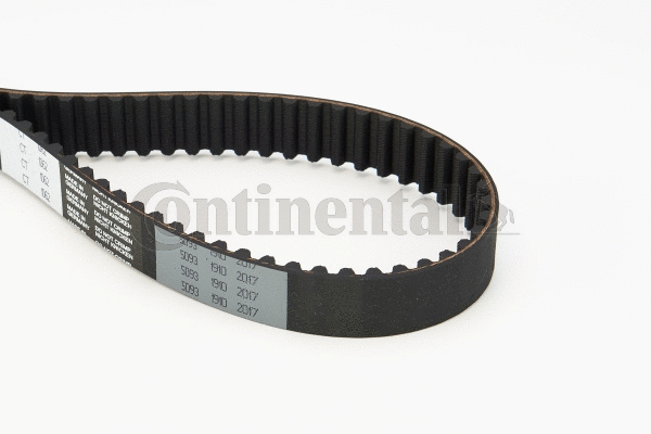 Timing Belt