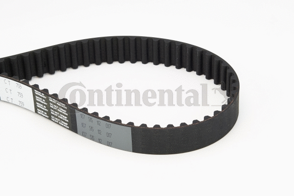 Timing Belt