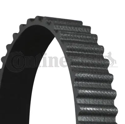 Timing Belt
