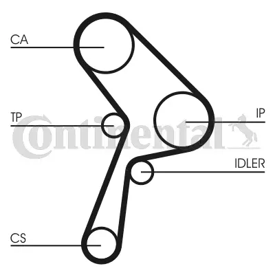 Timing Belt