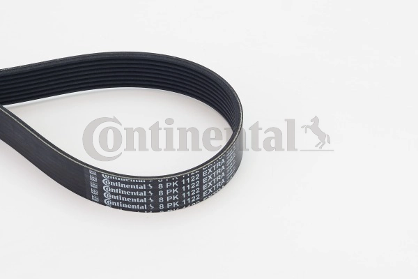 V-Ribbed Belt (8PK1122 EXTRA)