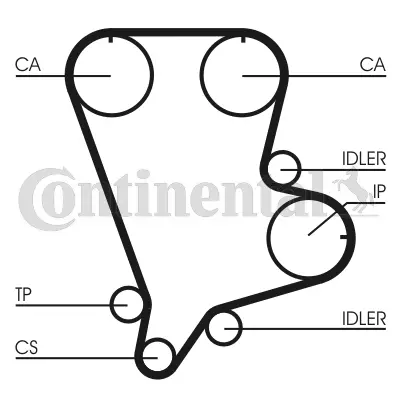 Timing Belt