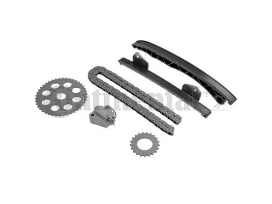 Timing Chain Kit (TC1000K1)