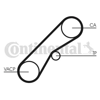 Timing Belt