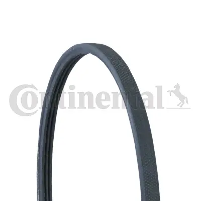 V-Ribbed Belt (3PJ891)