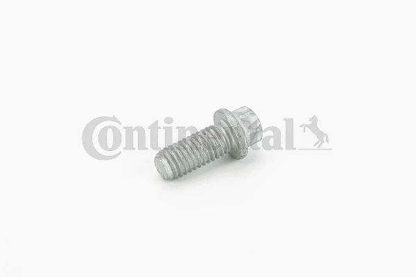Screw (V41175)