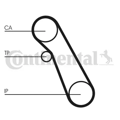 Timing Belt Kit