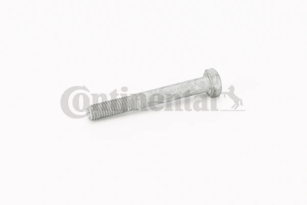 Screw (V41154)
