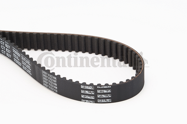 Timing Belt
