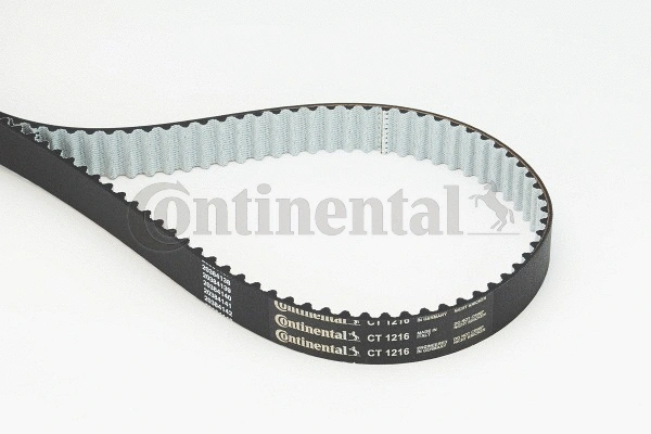 Timing Belt