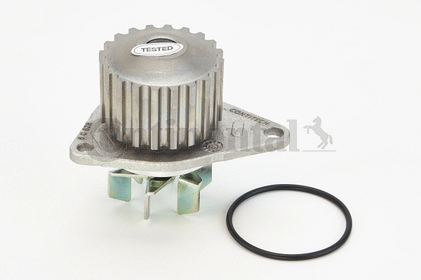 Water Pump, engine cooling (WP6007)