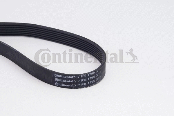 V-Ribbed Belt Set
