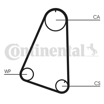 Timing Belt