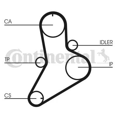 Timing Belt