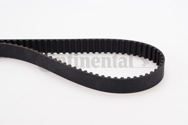 Timing Belt