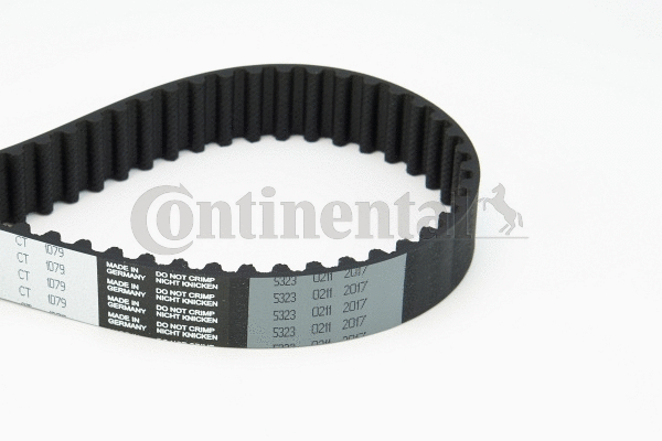 Timing Belt