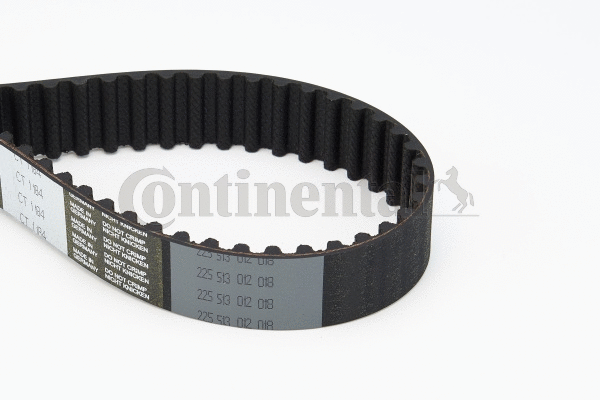 Timing Belt