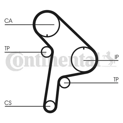 Timing Belt